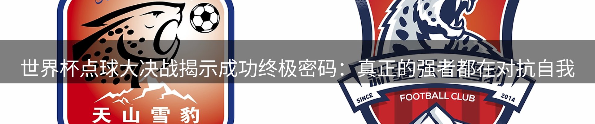 体育资讯