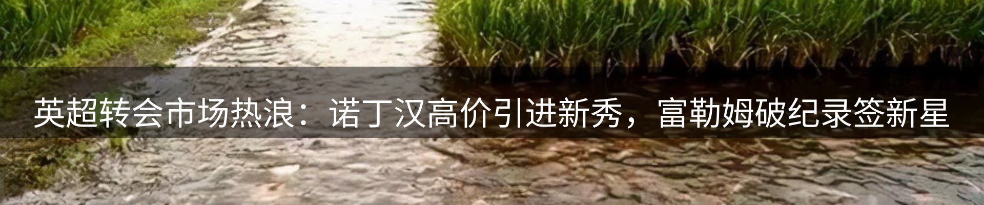 体育资讯
